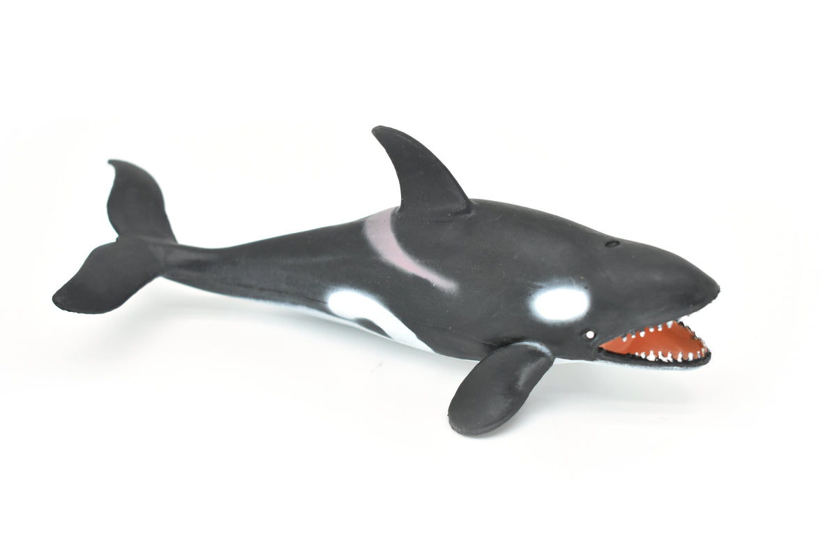 Orca, Killer Whale, Marine Mammal, Very Nice Design, Hand Painted, Rubber, Educational, Diorama Model, Realistic Figure, Figurine, Replica, Toy, Kids, Gift,    6 Inches.   F472 B4