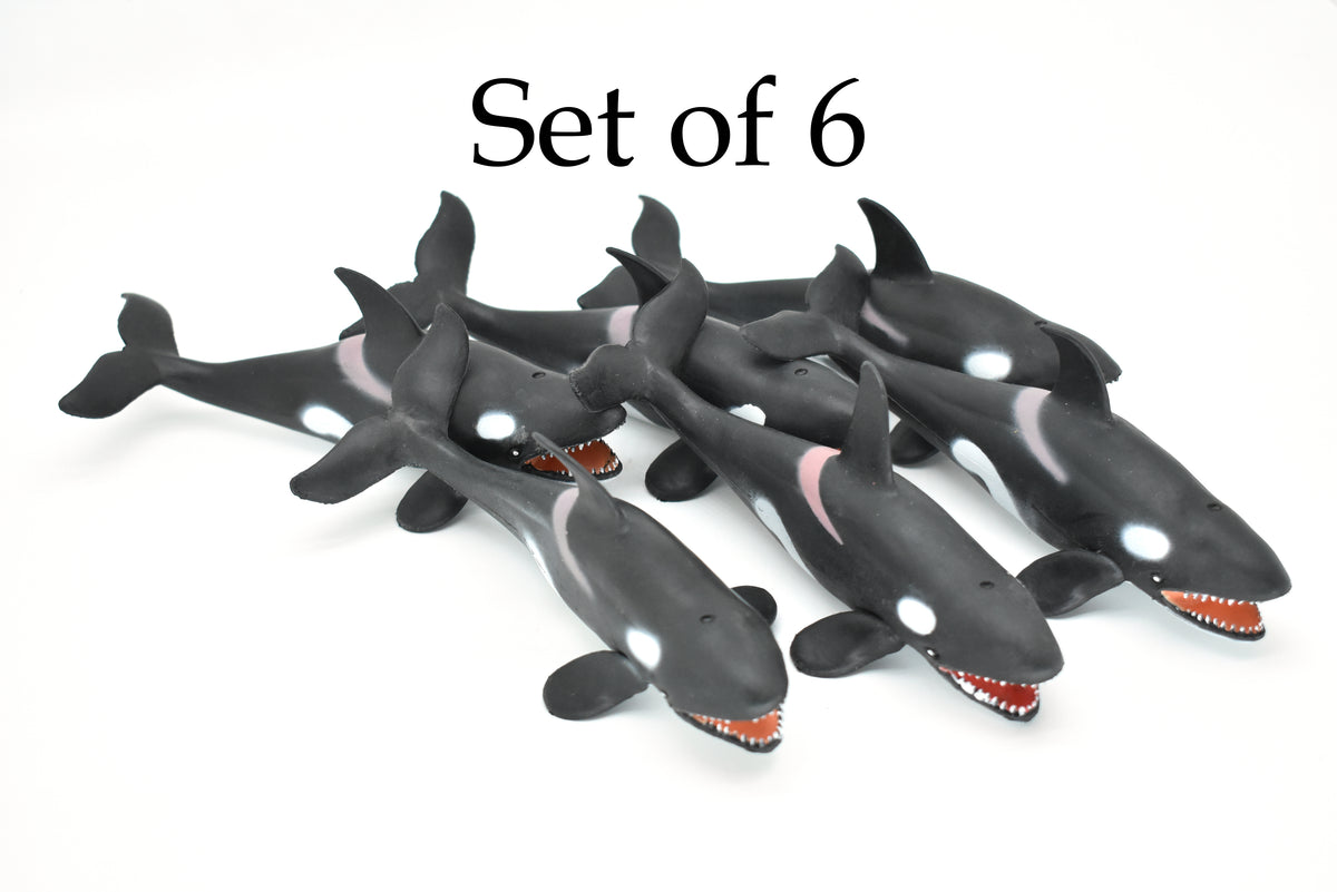 Orca, Killer Whale, Marine Mammal, Very Nice Design, Hand Painted, Rubber, Educational, Diorama Model, Realistic Figure, Figurine, Replica, Toy, Kids, Gift,    6 Inches.   F472 B4