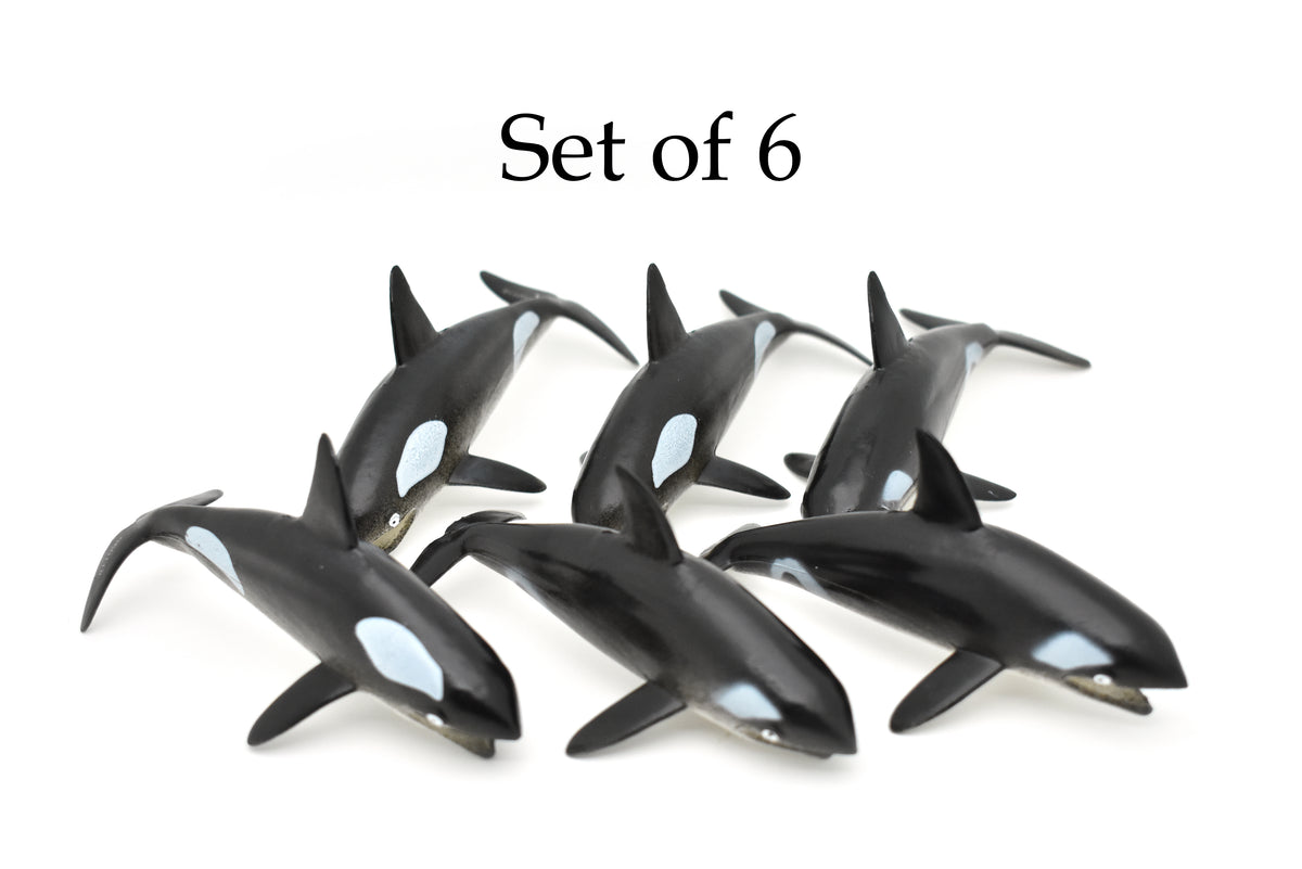 Orca, Killer Whale, Hollow Rubber Replica 5" Long   ~   F0020-B22
