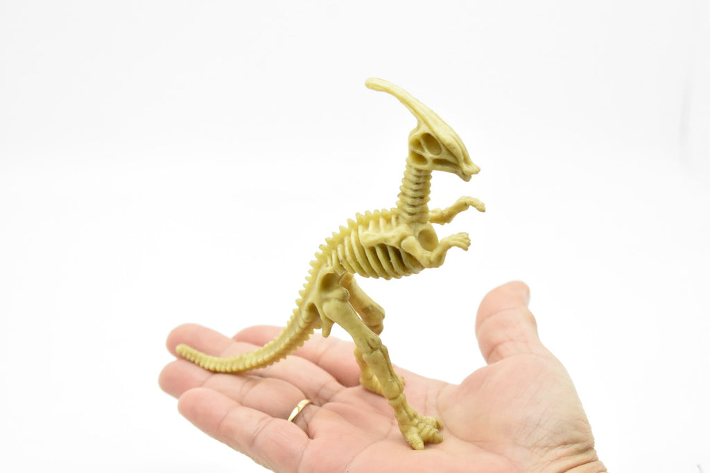 Parasaurolophus Dinosaur, Skeleton, Very Nice Plastic Replica    6"     F3283 B61