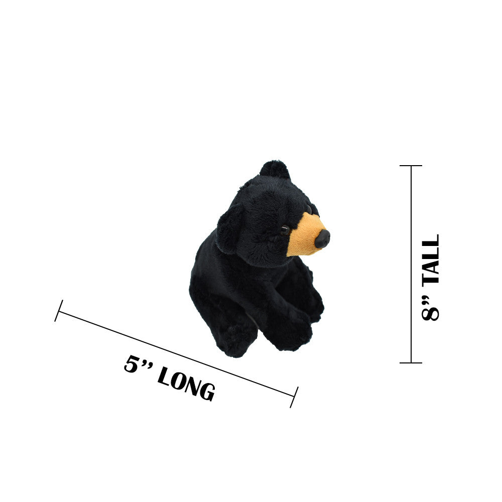 MEASUREMENTS
