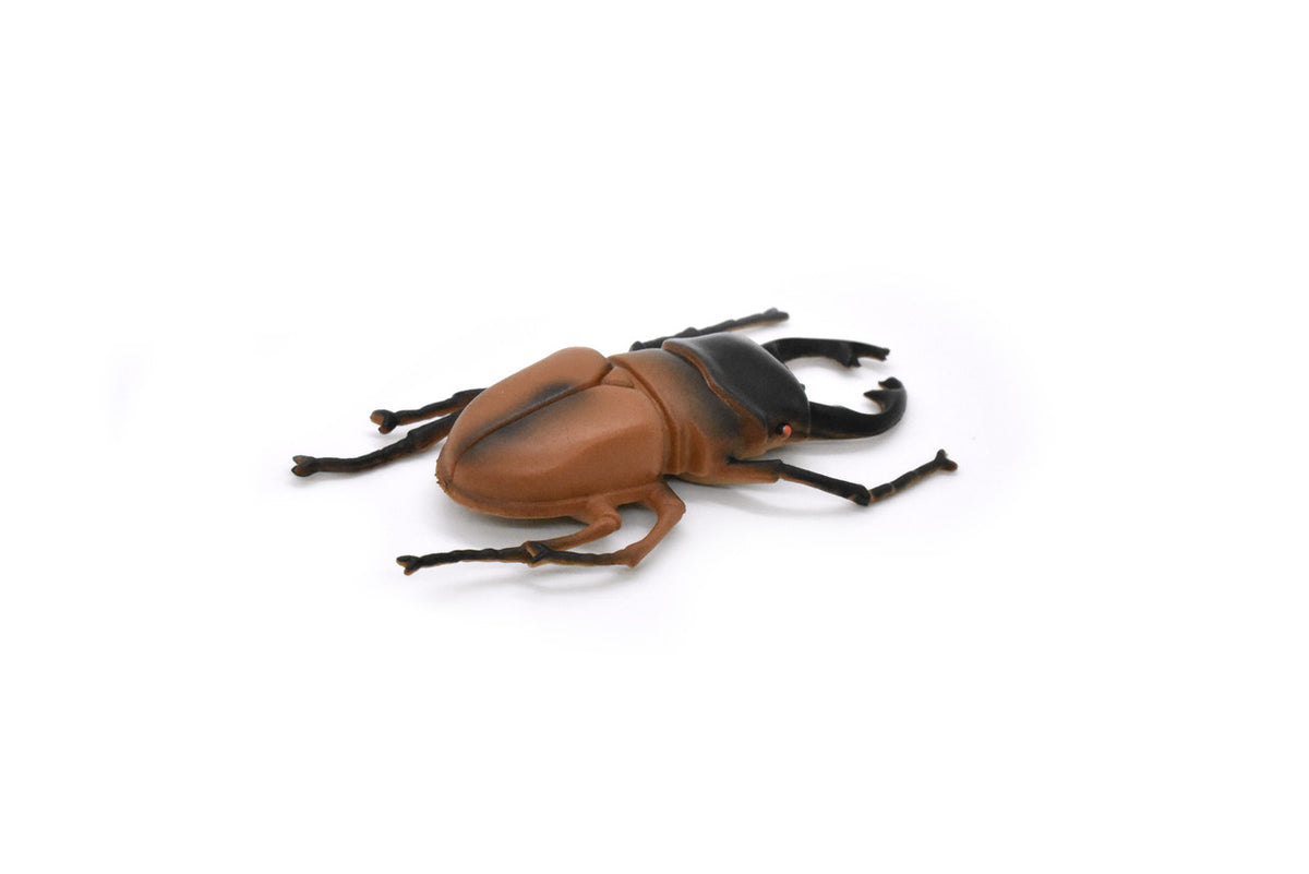 Stag Beetle, Lucanus cervus, Realistic Rubber Model, Bug, Insect, Educational, Hand Painted, Figure, Lifelike, Model, Figurine, Replica, Toy, Gift,   2 1/2 Inches    CWG02 B13