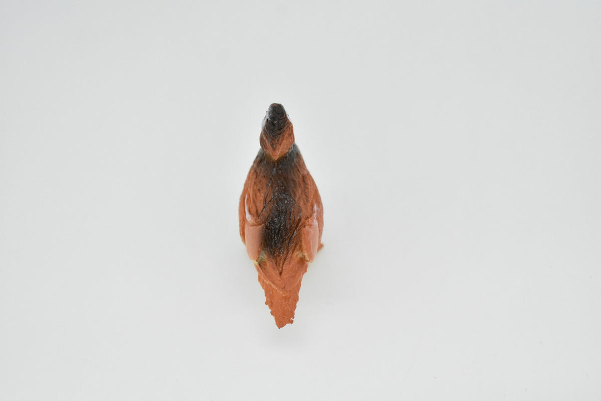 Duck, Mandarin, Chinese Teal,  Very Nice Plastic Reproduction  1 1/2"   F622 B132