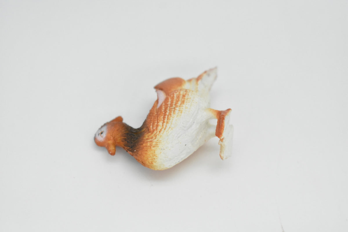 Duck, Mandarin, Chinese Teal,  Very Nice Plastic Reproduction  1 1/2"   F622 B132