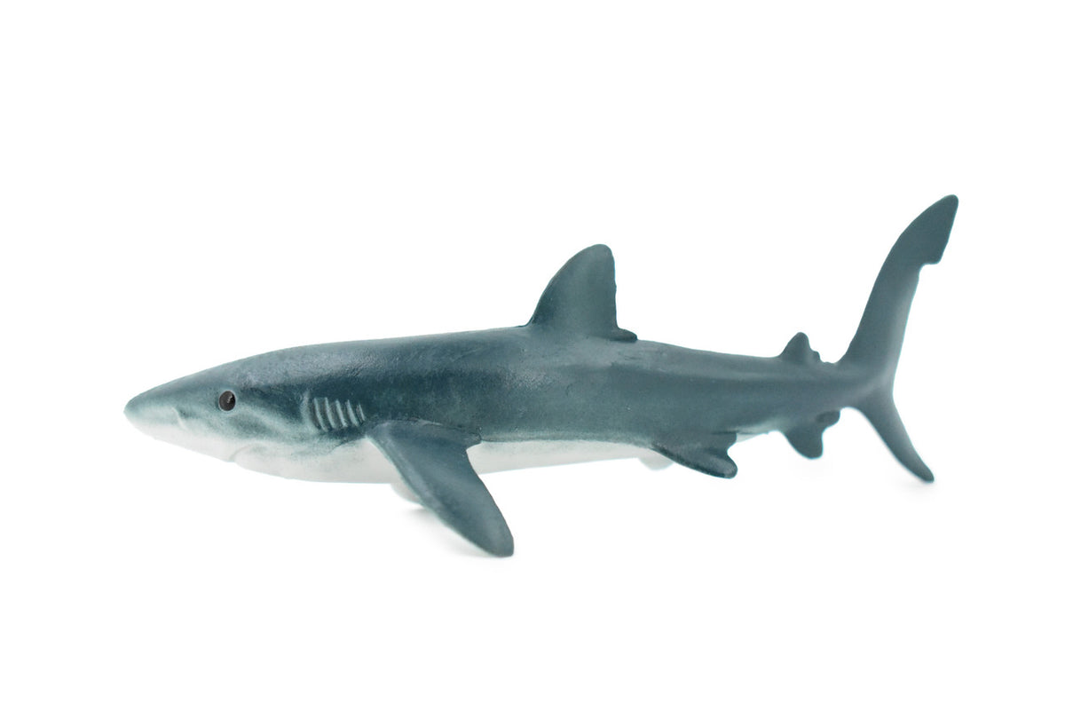 Blue Shark, Blue pointer, Museum Quality, Hand Painted, Educational, Rubber Fish, Diorama Model, Replica, Realistic Toy Figure, Kids,  6 Inches.