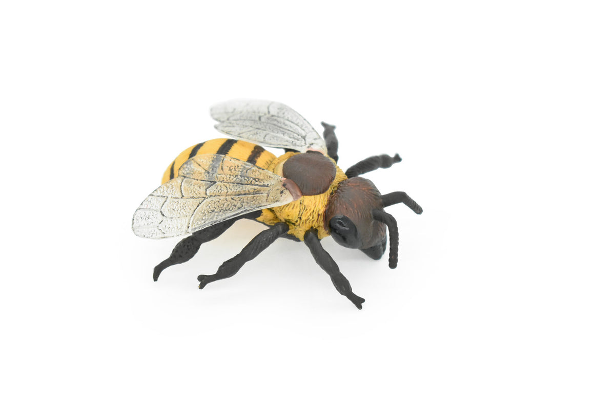 Bee, Bumblebee, Hornet, Yellowjacket, Museum Quality, Rubber Insect, Hand Painted, Realistic Toy Figure, Diorama Model, Kids, Educational,  3 Inches.