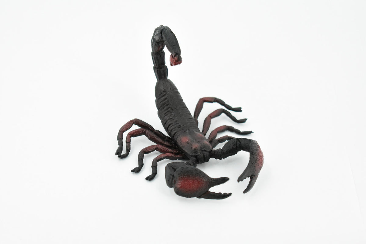 Scorpion, Black and Red, Arachnids, Scorpiones, Museum Quality, Educational, Hand Painted, Rubber Insect, Diorama Model, Realistic, Kids, Toys,  4 Inches.
