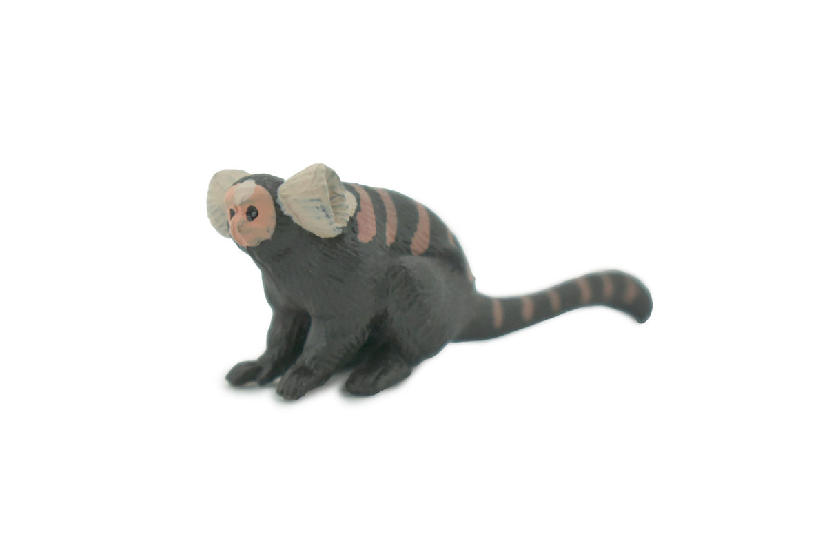 Monkey, Marmoset, Zaris, Sagoin, Primates, High Quality, Hand Painted, Rubber, Realistic, Figure, Model, Replica, Toy, Kids, Educational, Gift,    2"      CH650 BB169