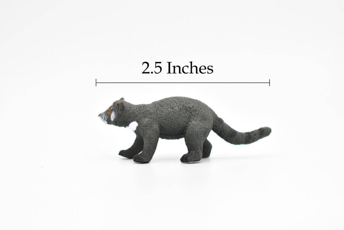 Tasmanian Devil, Sarcophilus, Very Nice Plastic Design, Animal Figure, Educational, Figure, Lifelike, Diorama Model, Replica, Toy, Kids,  2 1/2 Inches.  