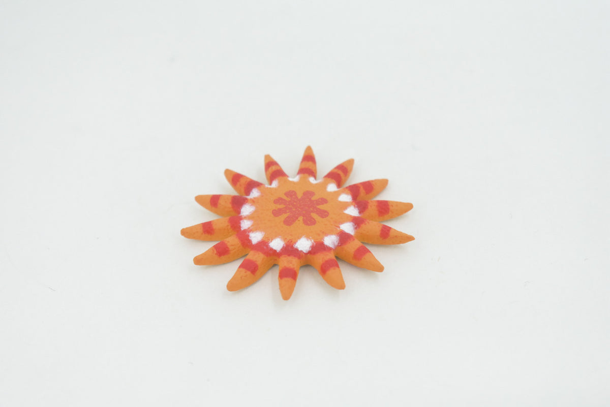 Starfish, Sunflower Sea Star, Echinoderms, Asteroidea, Ocean, Sea Life, Plastic Figure, Model, Realistic Replica, Educational Toy, Life Like, Gift,      2"     F932 B158