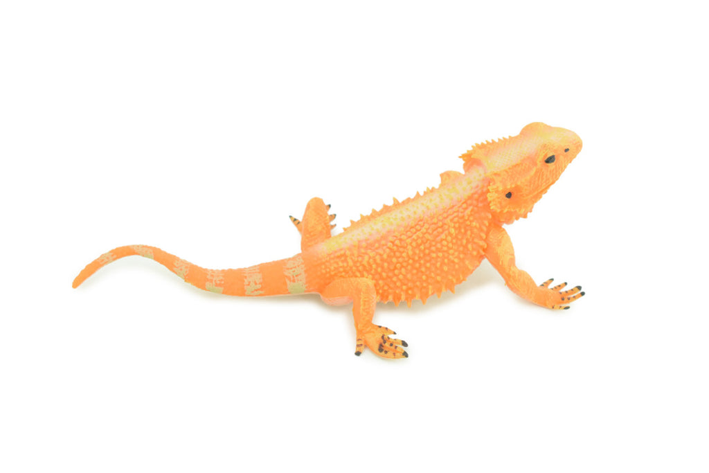 Horny Toad, Horned Lizard, Museum Quality, Educational, Hand Painted, Rubber Reptile, Diorama, Toy, Kids, Gift, 5 Inches. CH753 BB183
