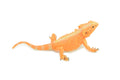 Horny Toad, Horned Lizard, Museum Quality, Educational, Hand Painted, Rubber Reptile, Diorama, Toy, Kids, Gift, 5 Inches. CH753 BB183