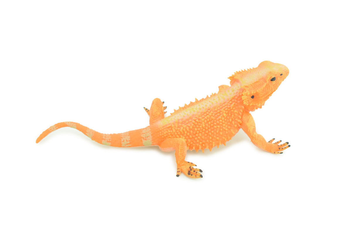 Horny Toad, Horned Lizard, Museum Quality, Educational, Hand Painted, Rubber Reptile, Diorama, Toy, Kids, Gift, 5 Inches. CH753 BB183