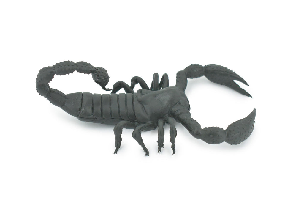 Scorpion, Black, Solid Rubber, Arachnids, Realistic, Figure, Model, Replica, Toy, Kids, Educational, Gift,           7"        F1974 B210