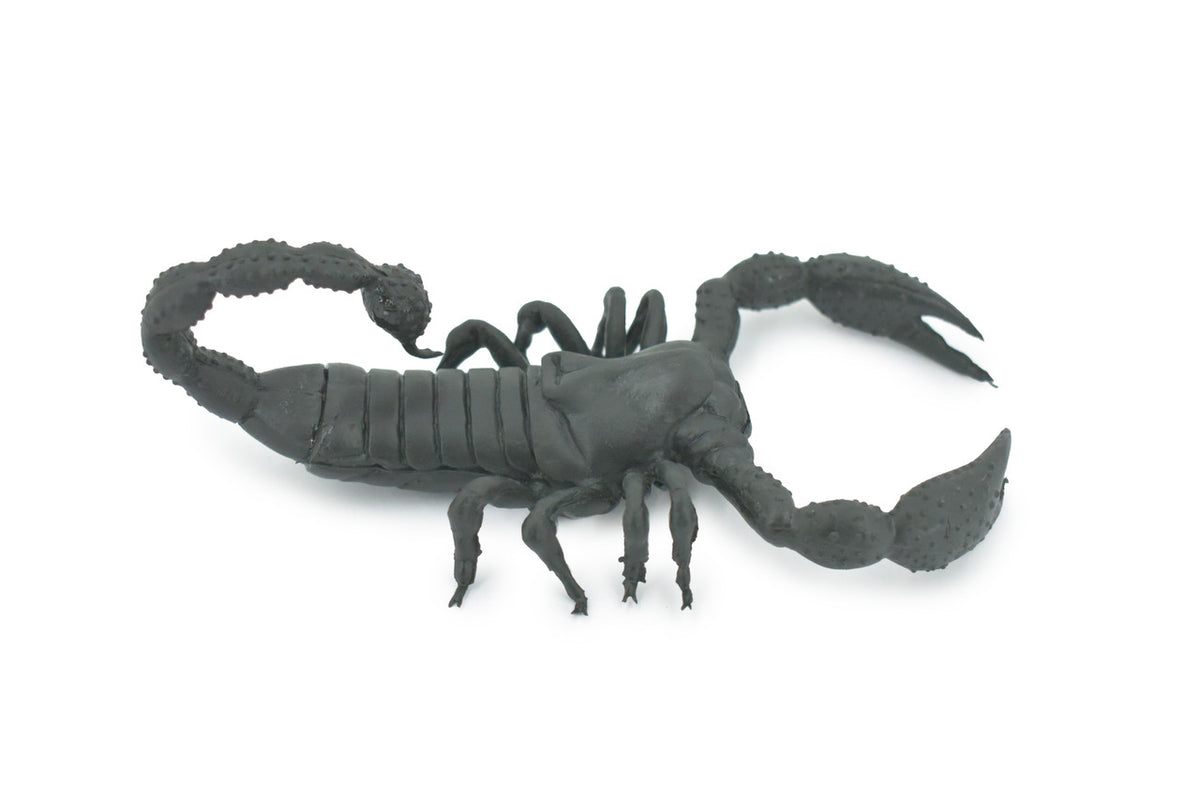 Scorpion, Black, Solid Rubber, Arachnids, Realistic, Figure, Model, Replica, Toy, Kids, Educational, Gift,           7"        F1974 B210