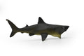 Basking Shark, Museum Quality Plastic Replica, Hand Painted   5 1/2 inches long   -   F1773 B97