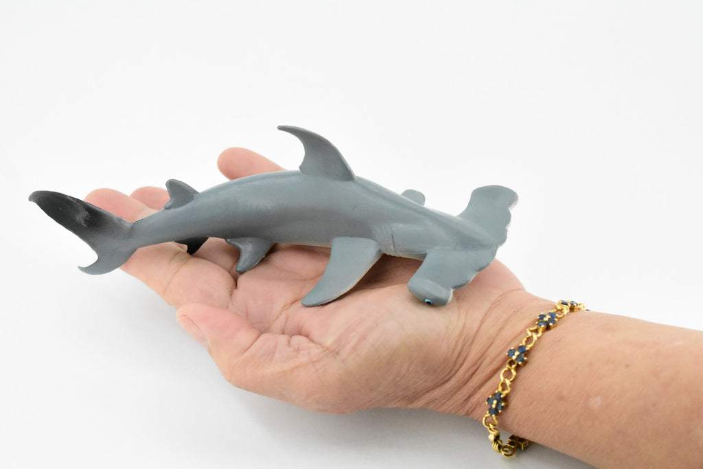 Hammerhead Shark, Museum Quality, Educational, Rubber Fish, Hand Painted, Realistic Toy Figure, Diorama Model, Kids, Educational, 7 Inches. 