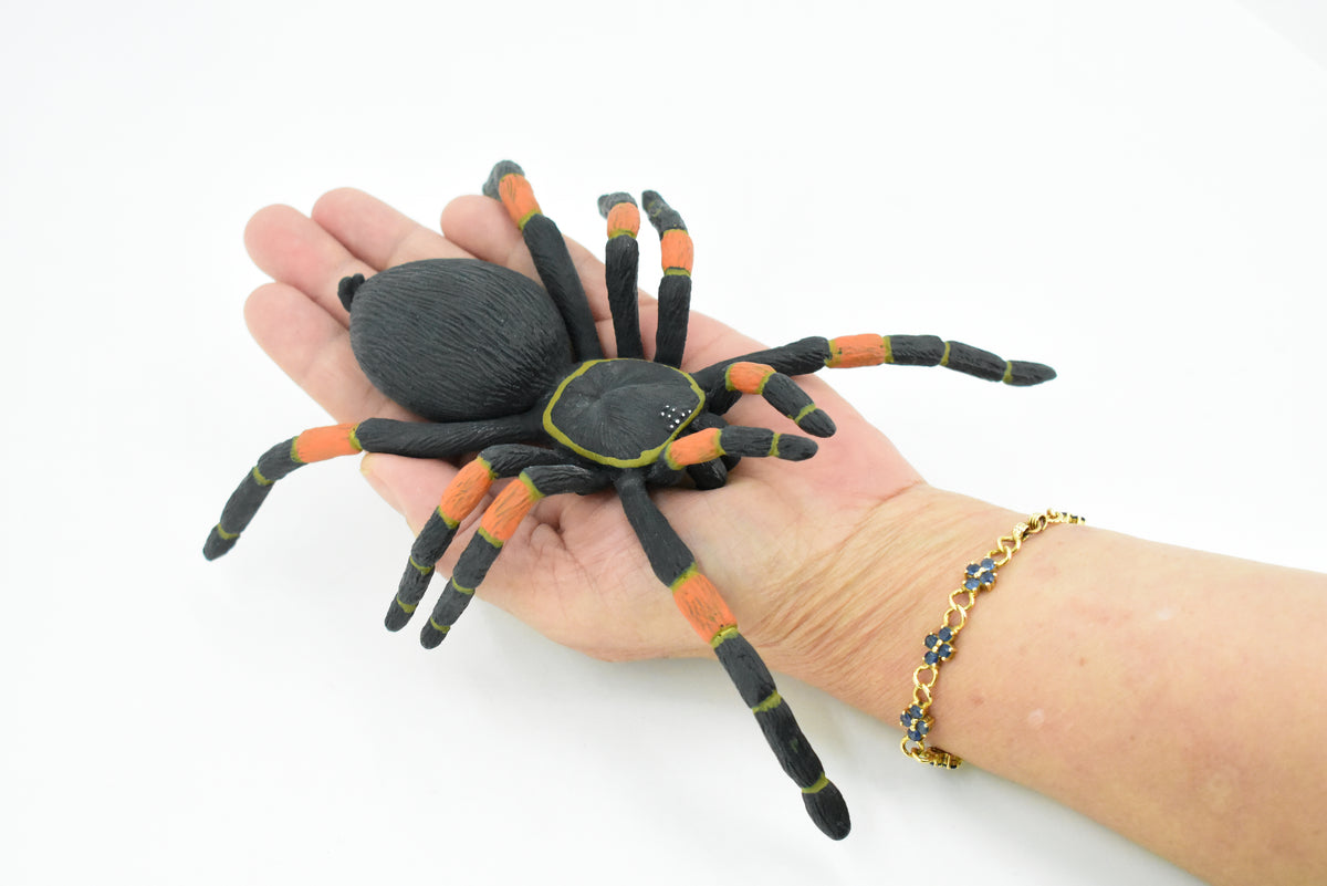 Spider, Tarantula, Mexican Red-kneed, Museum Quality Rubber Insect, Educational, Realistic Hand Painted Figure, Lifelike Model,        8"         F3635 B210