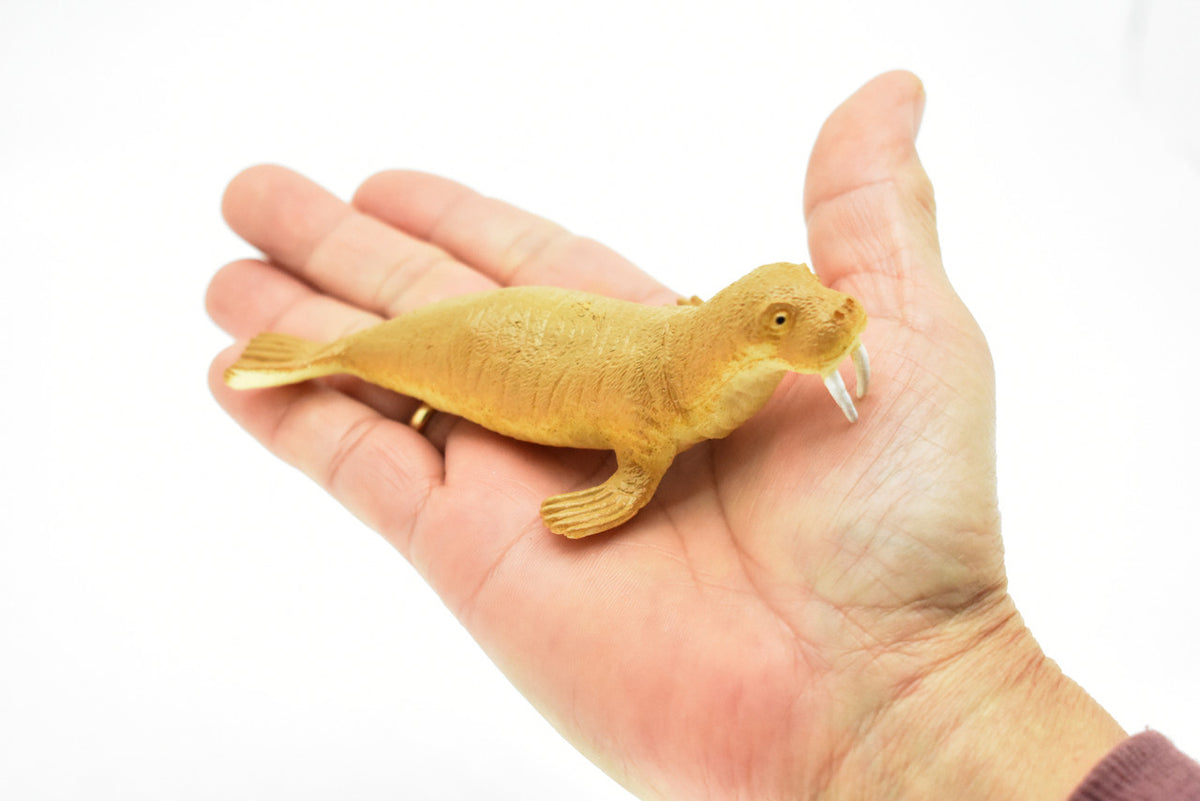 Walrus ~ Plastic Replica 4.75"W x 2.15"H ~ F6008-B377