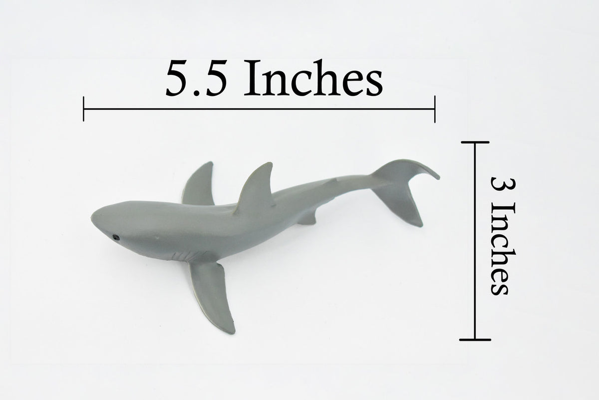 Great White, G.W. Shark, Young, Museum Quality, Hand Painted, Educational, Rubber Fish, Diorama Model, Replica, Realistic Toy Figure, Kids,  5 1/2 Inches.