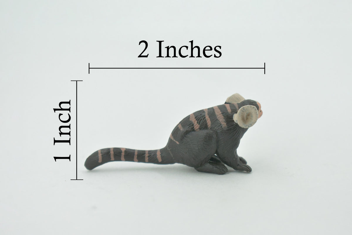 Monkey, Marmoset, Zaris, Sagoin, Primates, High Quality, Hand Painted, Rubber, Realistic, Figure, Model, Replica, Toy, Kids, Educational, Gift,    2"      CH650 BB169