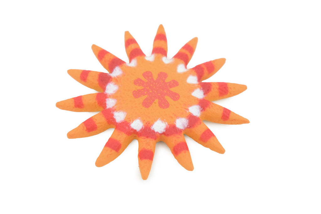 Starfish, Sunflower Sea Star, Echinoderms, Asteroidea, Ocean, Sea Life, Plastic Figure, Model, Realistic Replica, Educational Toy, Life Like, Gift,      2"     F932 B158