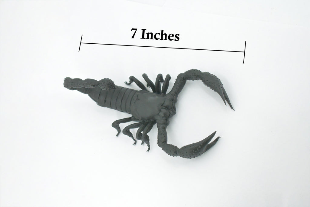 Scorpion, Black, Solid Rubber, Arachnids, Realistic, Figure, Model, Replica, Toy, Kids, Educational, Gift,           7"        F1974 B210