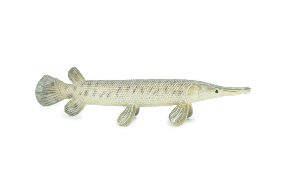 Alligator Gar Toy Model