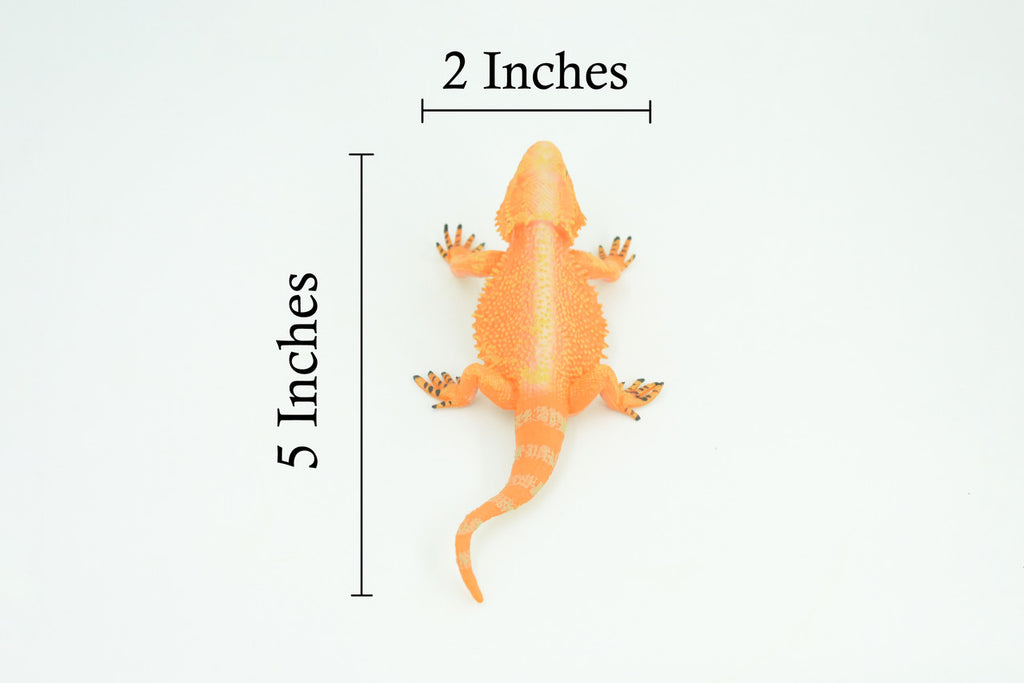 Horny Toad, Horned Lizard, Museum Quality, Educational, Hand Painted, Rubber Reptile, Diorama, Toy, Kids, Gift, 5 Inches. CH753 BB183