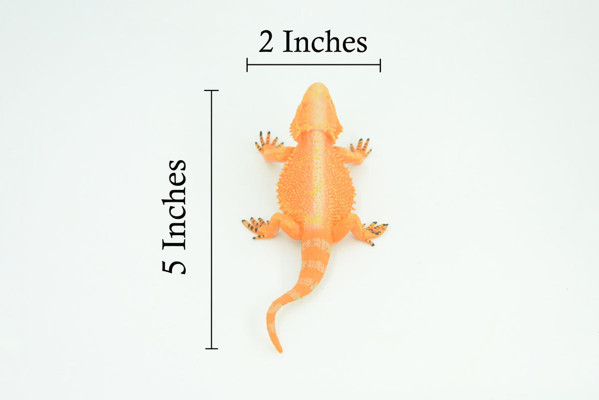 Horny Toad, Horned Lizard, Museum Quality, Educational, Hand Painted, Rubber Reptile, Diorama, Toy, Kids, Gift, 5 Inches. CH753 BB183