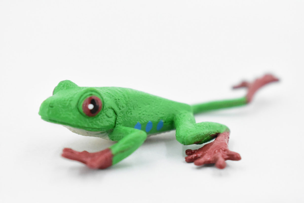 Red-Eyed Tree Frog, Hand Painted, Amphibian, Hard Rubber, Realistic Frog, Figure, Model, Replica, Toy, Kids, Educational, Gift,    3"  