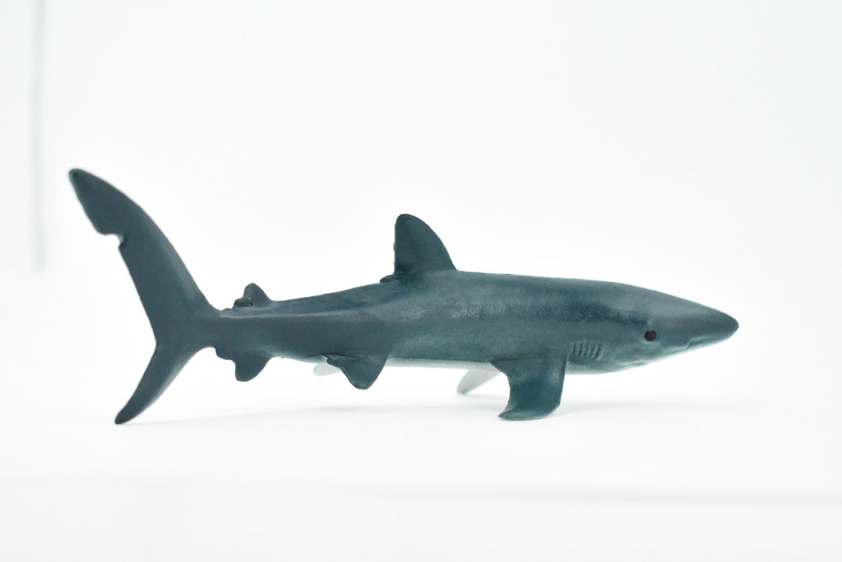 Blue Shark, Blue pointer, Museum Quality, Hand Painted, Educational, Rubber Fish, Diorama Model, Replica, Realistic Toy Figure, Kids,  6 Inches.