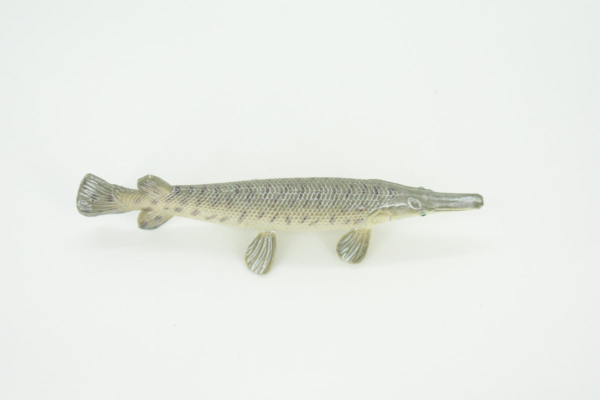 Alligator Gar, Gator Gar, Alligator Pike, Gar Pike, Hand Painted, Educational, Rubber Fish, Realistic Figure, Lifelike, Gift,    3 1/2"    SF39 B15