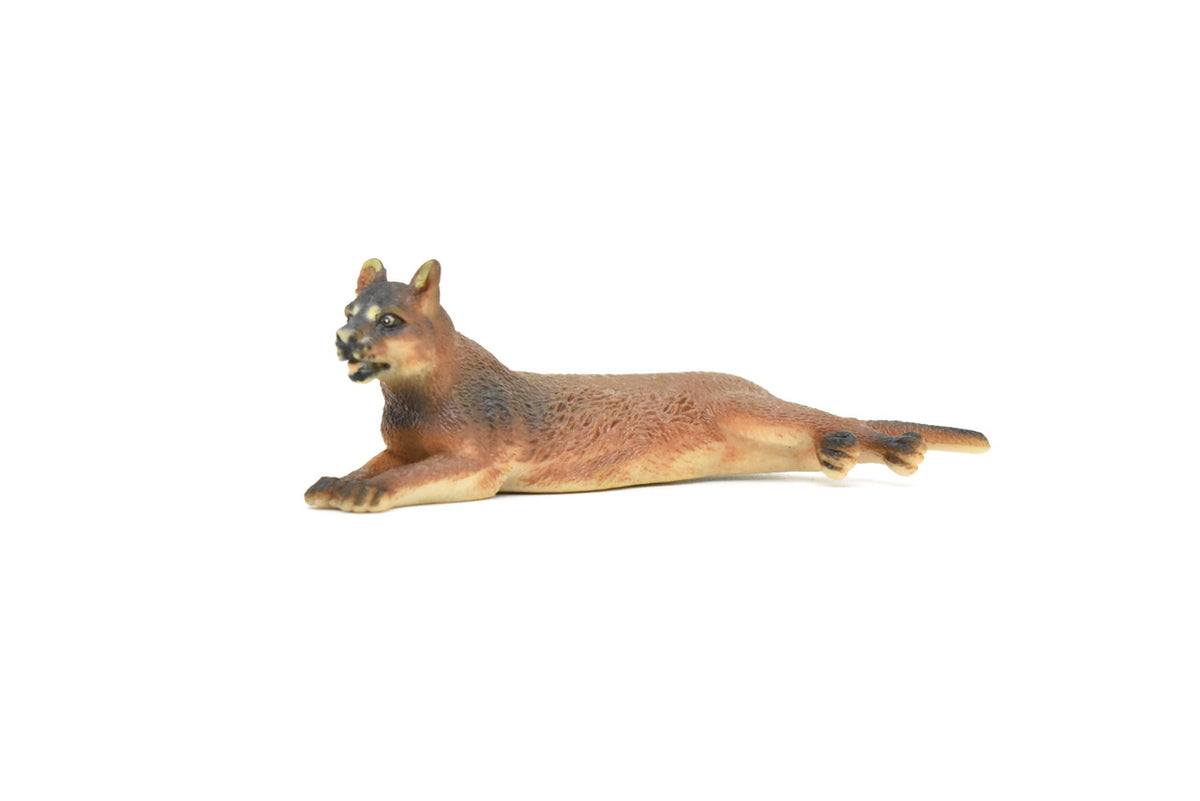 Cougar, Mountain lion, Puma, Catamount, Museum Quality, Hand Painted, Realistic, Plastic Animal Design, Educational, Diorama Model, Lifelike, Toy, 4 Inches. 