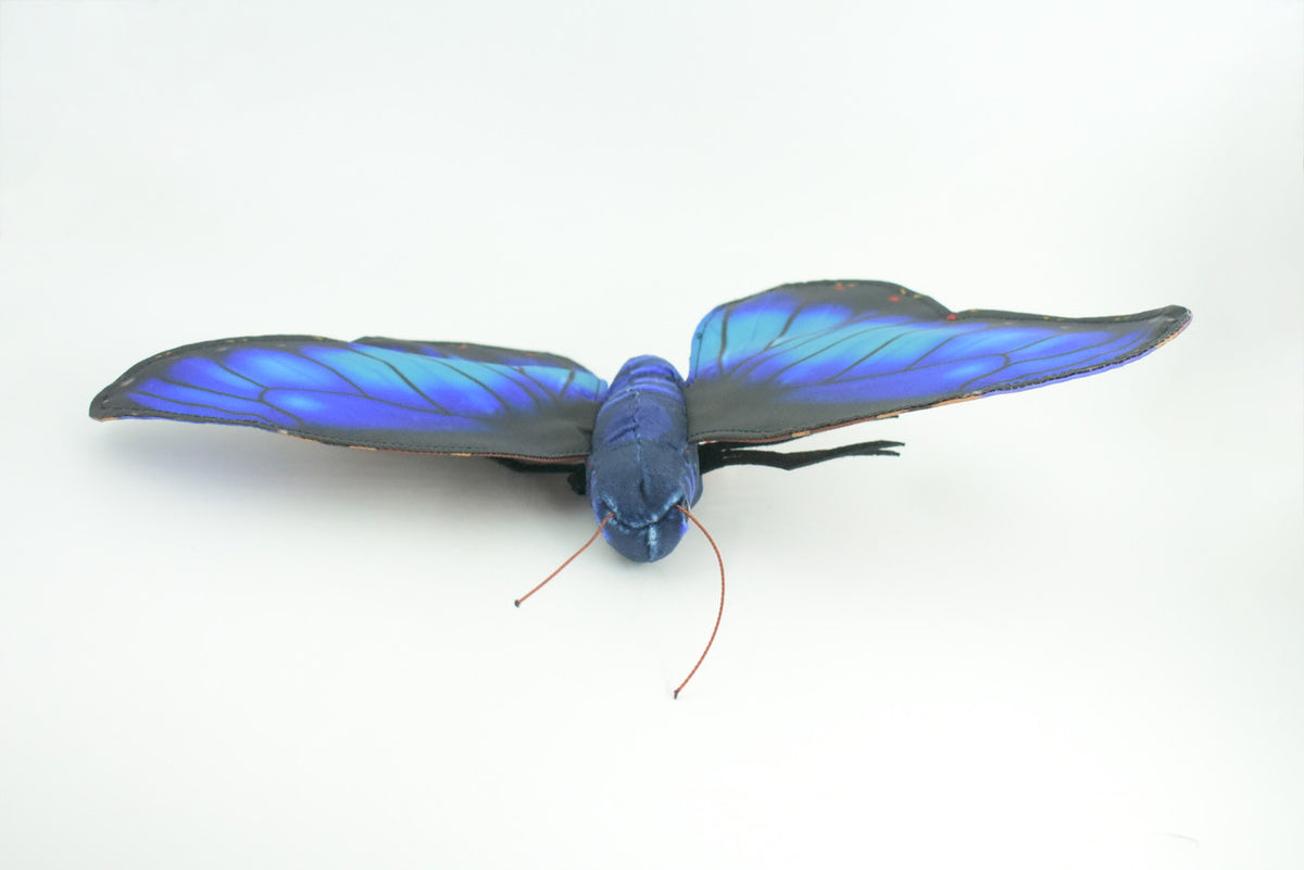 Blue Morpho Butterfly, Finger Puppet, Finger Puppet, Very Nice Plush, Insect, Realistic, Educational, Toy, Kids, Gift,   15 Inches. WR34 BB317