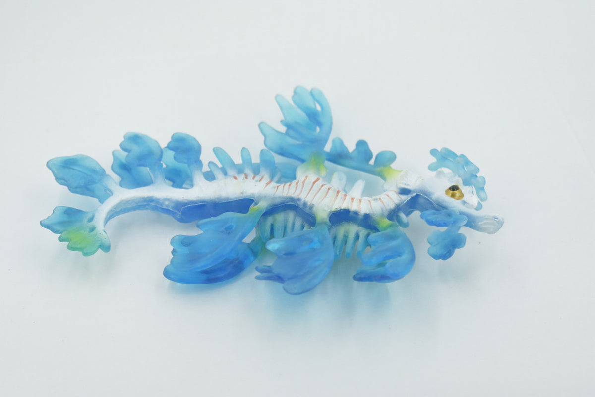 Leafy Sea Dragon, Weedy, Common, Pipefish, Seahorses, Museum Quality, Hand Painted, Rubber, Realistic, Toy, Kids, Educational, Gift,    6"    CH585 BB164