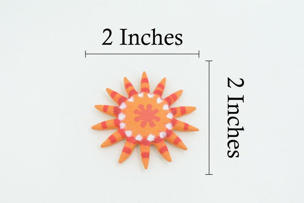 Starfish, Sunflower Sea Star, Echinoderms, Asteroidea, Ocean, Sea Life, Plastic Figure, Model, Realistic Replica, Educational Toy, Life Like, Gift,      2"     F932 B158