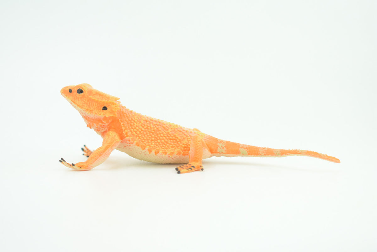 Horny Toad, Horned Lizard, Museum Quality, Educational, Hand Painted, Rubber Reptile, Diorama, Toy, Kids, Gift,  5 Inches.  CH753 BB183