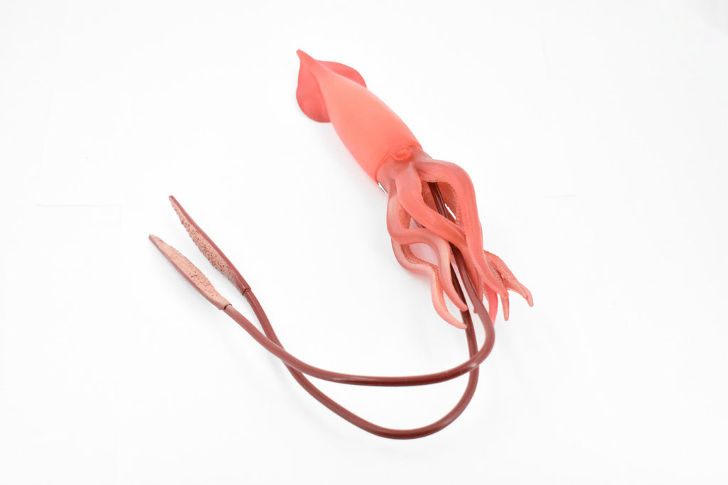 Squid, Giant, Architeuthis dux, Museum Quality, Rubber Animal, Hand Painted, Realistic Toy Figure, Model, Replica, Kids, Educational, Gift,       18"      CH235 BB120