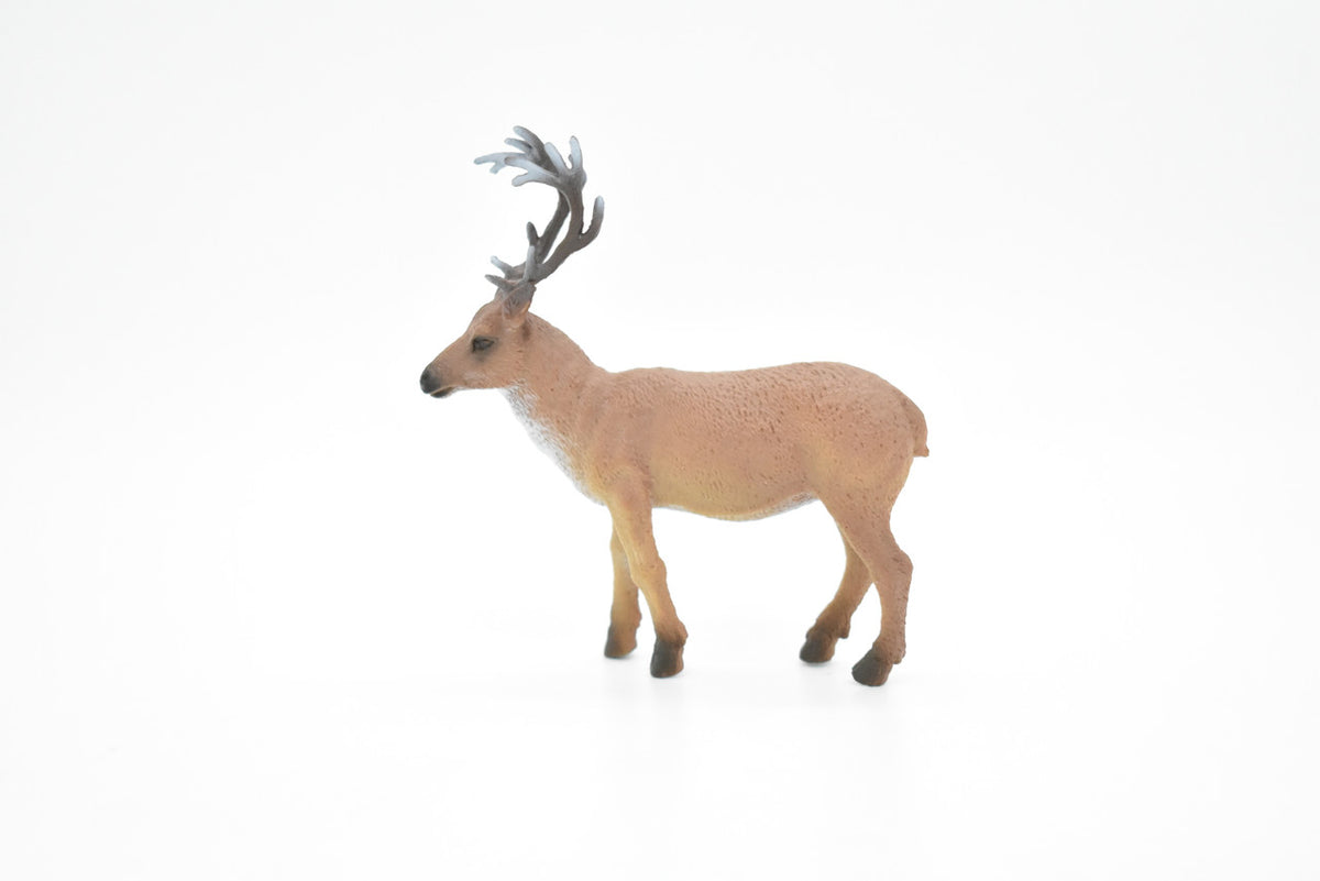 Elk, Wapiti, Realistic Rubber Reproduction, Hand Painted Figurines       3.5"      CH146 B246