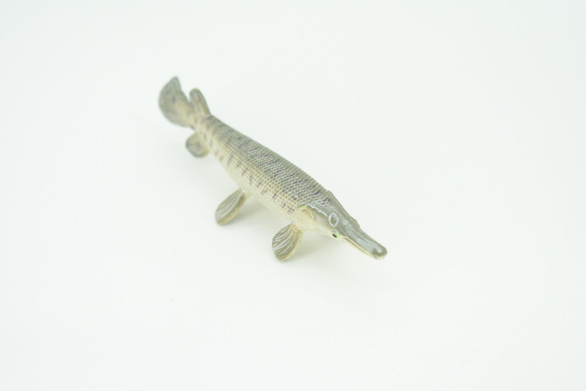 Alligator Gar, Gator Gar, Alligator Pike, Gar Pike, Hand Painted, Educational, Rubber Fish, Realistic Figure, Lifelike, Gift,    3 1/2"    SF39 B15