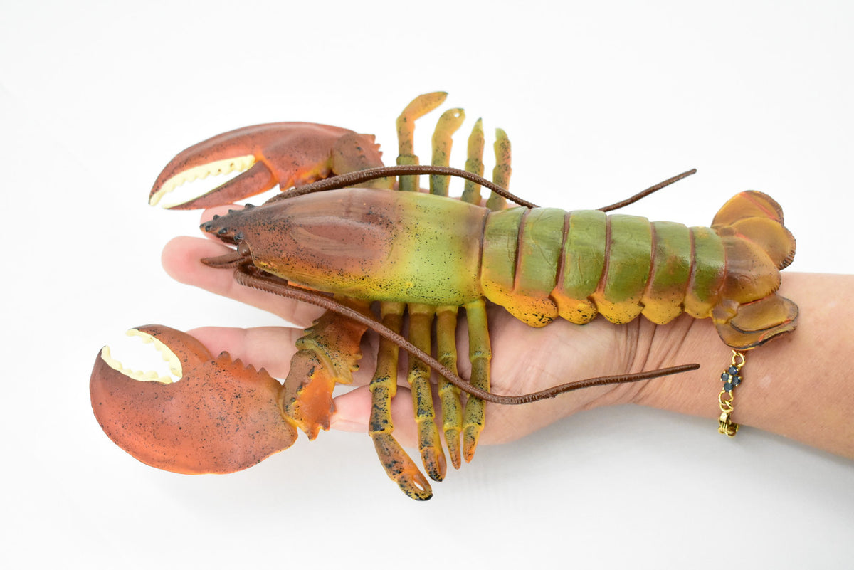 Lobster, Boston, American, Museum Quality, Rubber Crustacean, Hand Painted, Realistic Toy Figure, Model, Replica, Kids, Educational, Gift,       9"       CH163 BB111