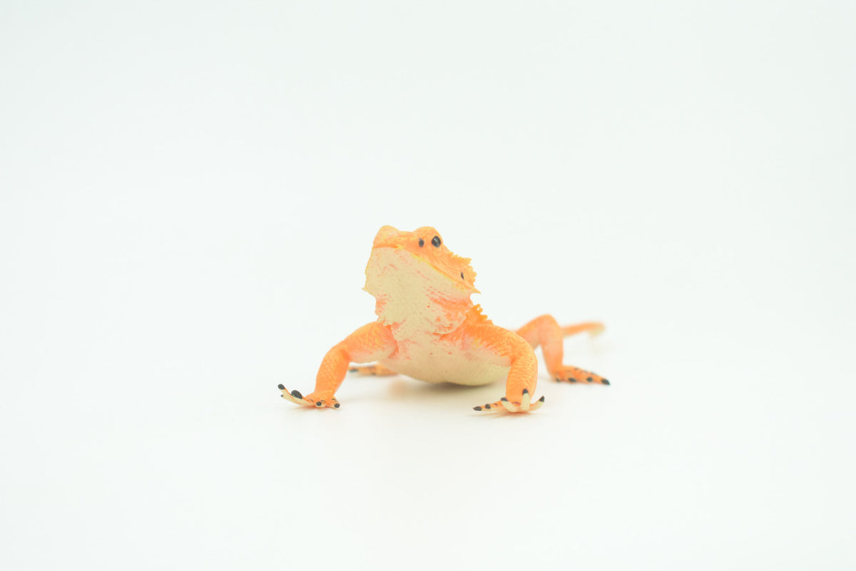 Horny Toad, Horned Lizard, Museum Quality, Educational, Hand Painted, Rubber Reptile, Diorama, Toy, Kids, Gift,  5 Inches.  CH753 BB183