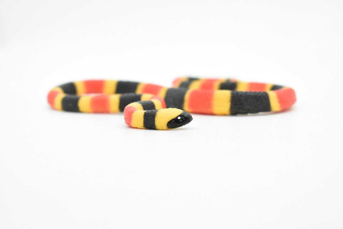 Coral Snake Toy, Very Realistic Rubber Figure, Model, Educational, Animal, Hand Painted Figurines,       6"       CH057 BB78