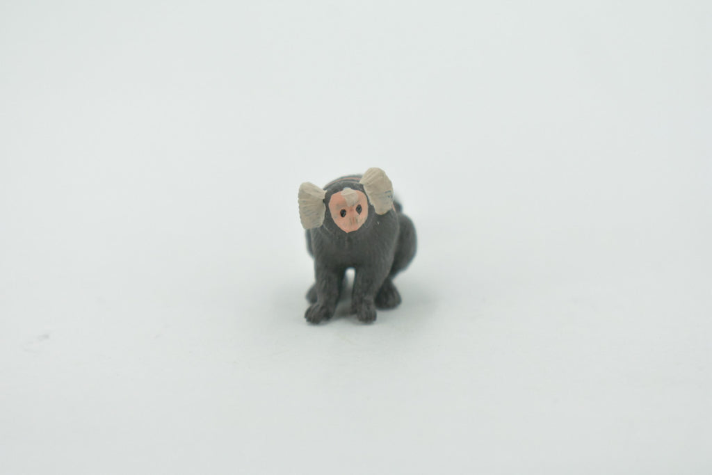 Monkey, Marmoset, Zaris, Sagoin, Primates, High Quality, Hand Painted, Rubber, Realistic, Figure, Model, Replica, Toy, Kids, Educational, Gift,    2"      CH650 BB169