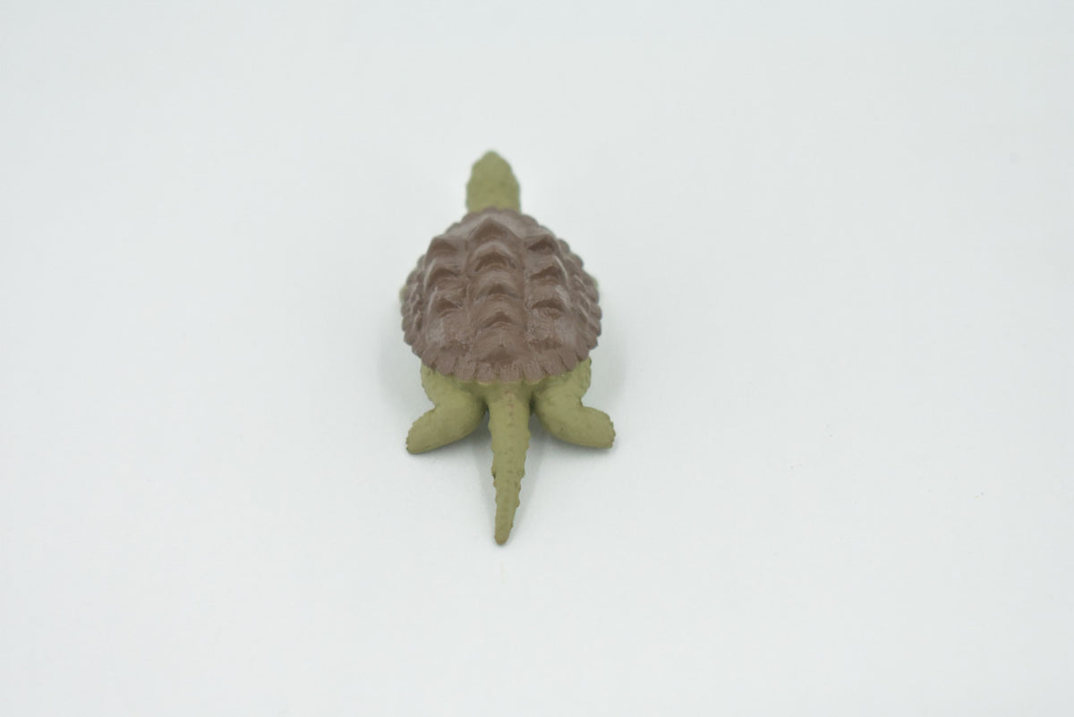 Alligator Snapping Turtle, Plastic Reptile, Educational, Realistic, Figure, Lifelike Model, Figurine, Replica, Toys, Kids, Gift,    2 1/2 Inches.   F9000 B48