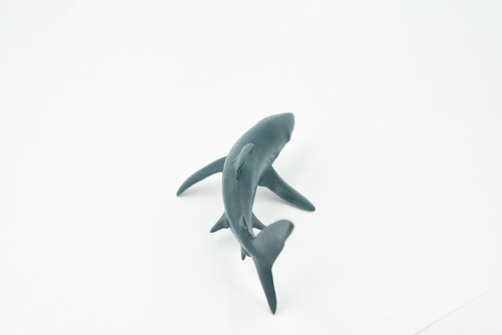 Blue Shark, Blue pointer, Museum Quality, Hand Painted, Educational, Rubber Fish, Diorama Model, Replica, Realistic Toy Figure, Kids,  6 Inches.