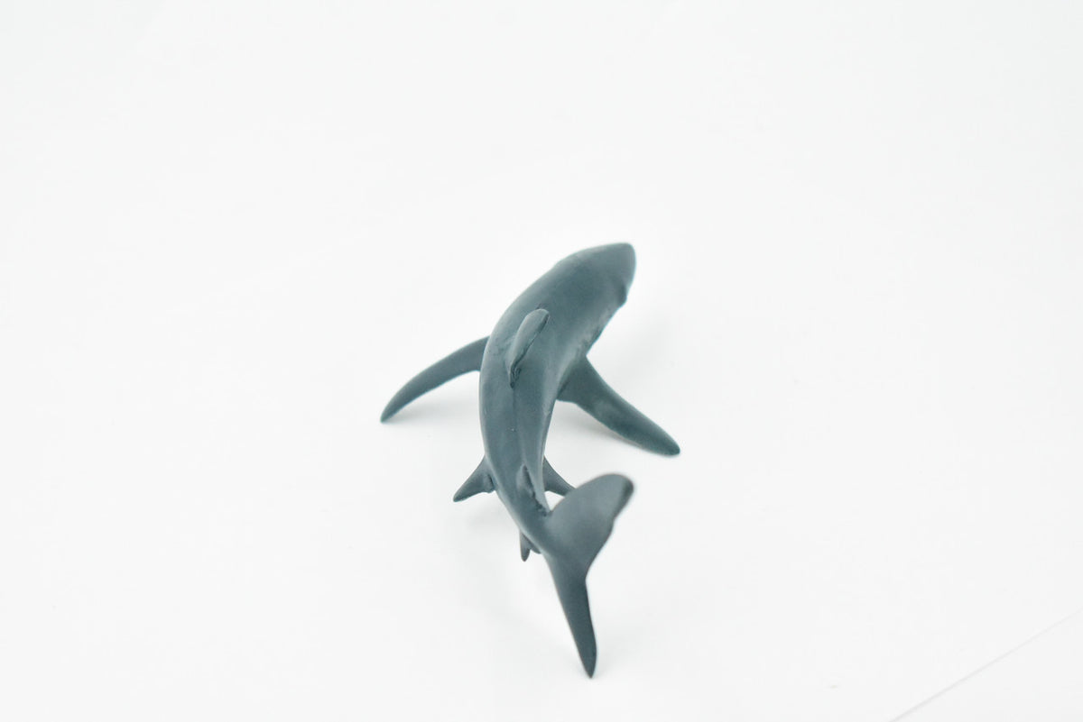 Blue Shark, Blue pointer, Museum Quality, Hand Painted, Educational, Rubber Fish, Diorama Model, Replica, Realistic Toy Figure, Kids,  6 Inches.