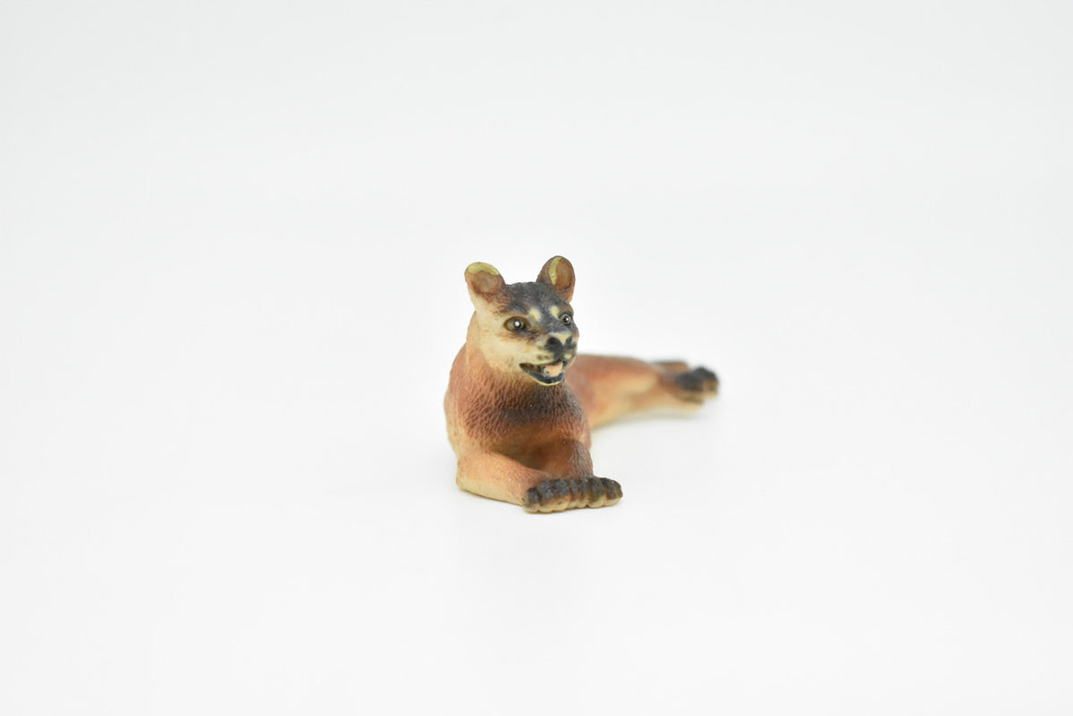 Cougar,  Mt. Lion, Puma, Museum Quality, Realistic, Plastic, Animal Design, Educational, Hand Painted, Figure, Lifelike, Model, Figurine, Replica, Gift,    4"   CWG190 BB43