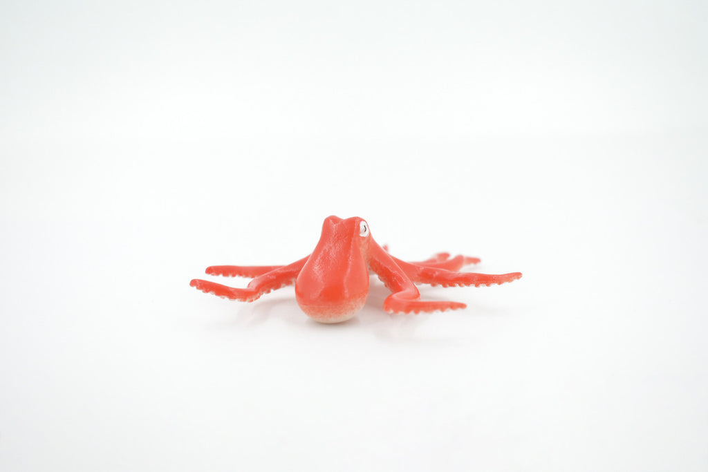 Octopus, Octopuses, Rubber, Octopodes, Educational, Realistic Hand Painted, Figure, Lifelike Figurine, Replica, Gift,       3 1/2"     F022 B23